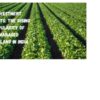 Managed Farmland in India