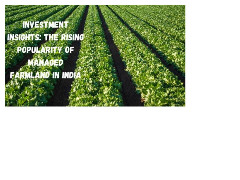 Investment Insights: The Rising Popularity of Managed Farmland in India