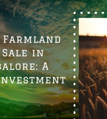 1 Acre Farmland for Sale in Bangalore