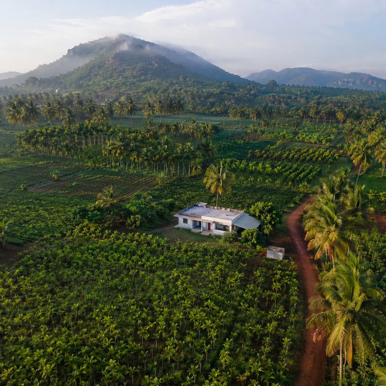 Farm land in denkanikottai near bangalore by lakeview farms with scenic views
