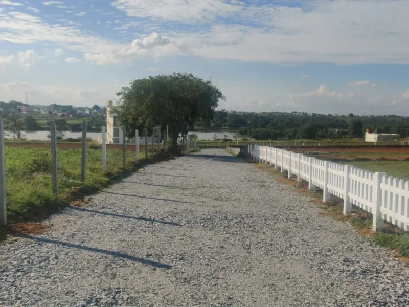 Well-developed internal road access at Lakeview Farms